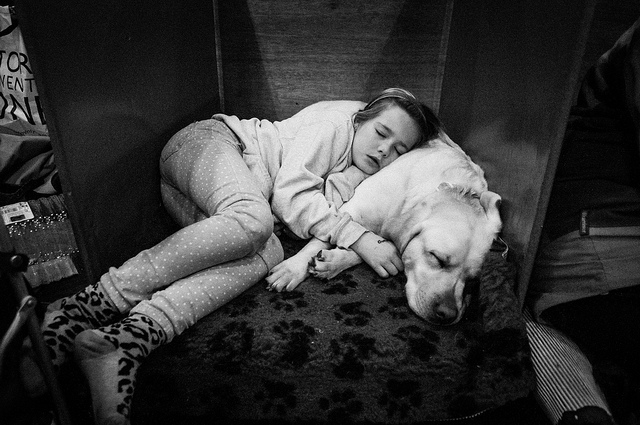 8568396153_31768bfefe_z