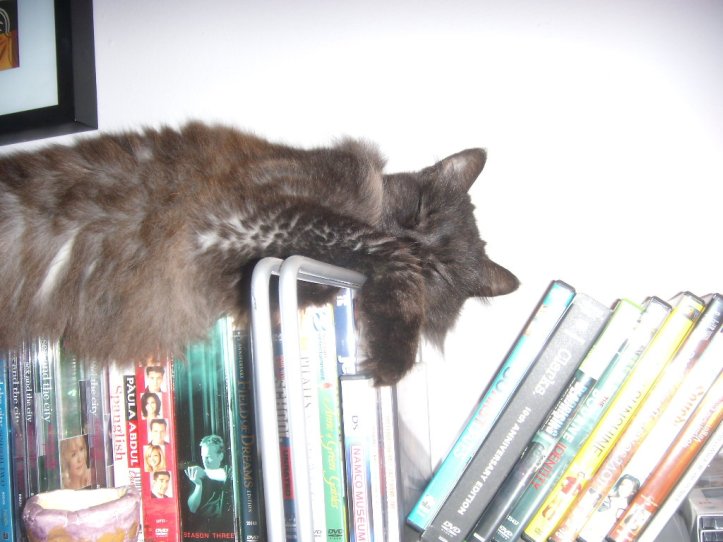 November 30 download 035